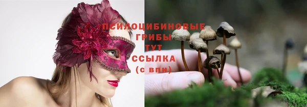 прущая мука Абаза