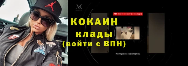 соль ск Алексин