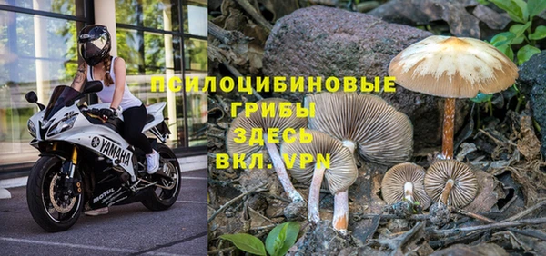 скорость mdpv Нея