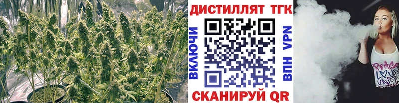 ТГК вейп с тгк  наркотики  darknet телеграм  Иркутск 