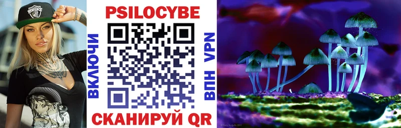 ОМГ ОМГ зеркало Иркутск Псилоцибиновые грибы GOLDEN TEACHER наркошоп