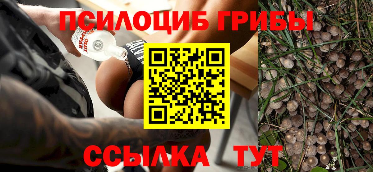 Галлюциногенные грибы GOLDEN TEACHER Иркутск