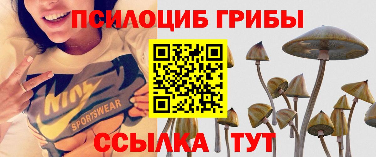 Псилоцибиновые грибы Psilocybine cubensis  Вход с VPN  Иркутск 